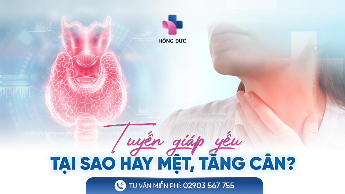 BẠN CÓ ĐANG GẶP NHỮNG DẤU HIỆU CẢNH BÁO TUYẾN GIÁP HOẠT ĐỘNG KÉM?
